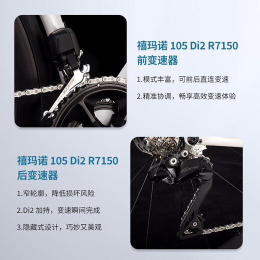 SAVA萨瓦F20二代鹰眼碳纤维公路车24速超轻弯把油碟综合架竞赛自行车 松石绿【R7170电子变速-碳圈】 49XS【160CM-165CM】