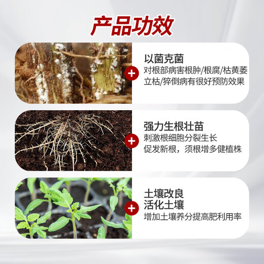 Bacillus licheniformis agricultural microbial inoculant field medicinal materials improve soil to promote rooting bacterial fertilizer water-soluble fertilizer