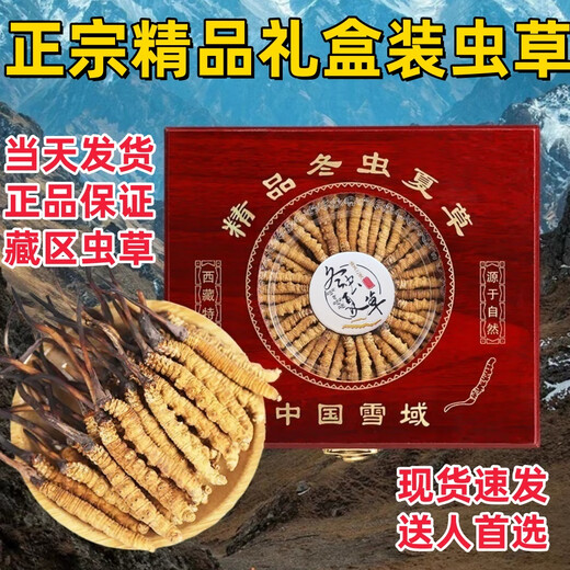 冬虫夏草礼盒装精品藏区虫草当天发货送礼首选正宗雪域冬虫夏草 西藏那曲高海拔虫草4条1克100条