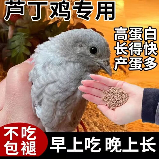 Special feed for rutin chicken, rutin chicken egg production feed, mealworm brooding feed, quail feed, high protein 3Jin Jin is equal to 0.5 kg, egg production food containing mealworms, dried vegetables