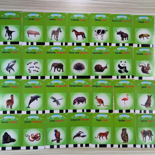 Mao Xiaoyu's Flash Cards Children's Early Education Foreign Language Vocabulary Learning Machine Amazon Education Learning Machine Blue-Xiongbao 112 Card 224 Content-Spanish-English