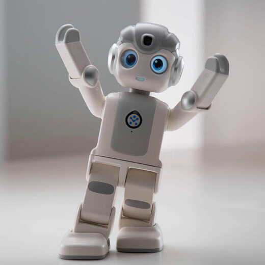 Ubuly wukong Robot Intelligent Programming Dancing Learning Machine Enseignement en lecture AI Intelligence artificielle Machine Education Earn
