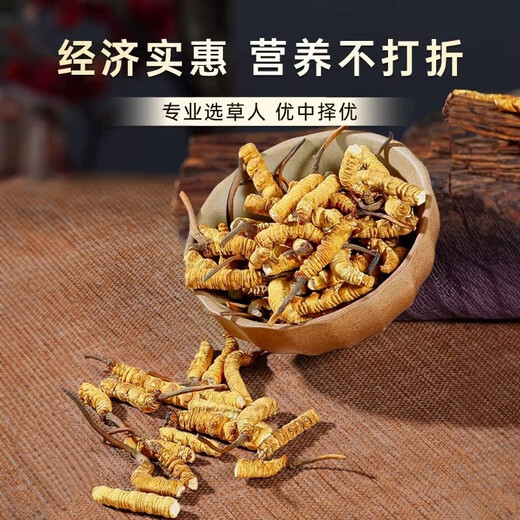 【支持质检】大断草正宗冬虫夏草断草虫草断草自食滋补正品纯肉节 断虫草10克送1克
