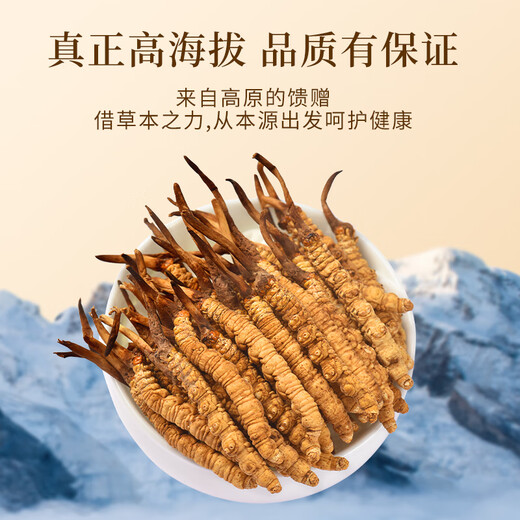 Wancao Kangren Cordyceps Sinensis Отборочная трава в тибетских районах свежие сушеное кордицепс питательный питание Отправить подарок на День Матери для старейшин 2 корней/g 10G (бутылки) Отправить Wolfberry * 1