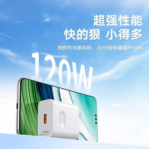 适用120W超级快充电头于华为荣耀OPPO充电器快充单头闪充套装通用66W插头通用快充套装 120套装【120w快充头+6a快充线】 2米