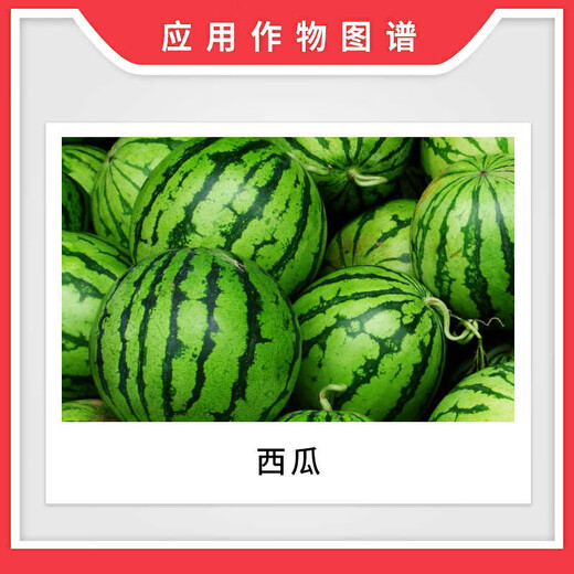 Lanyue 0.1% clofenuron fruit-setting medicine for cucumbers, melons and watermelons special flower-spotting medicine to increase fruit-setting and yield 100ml