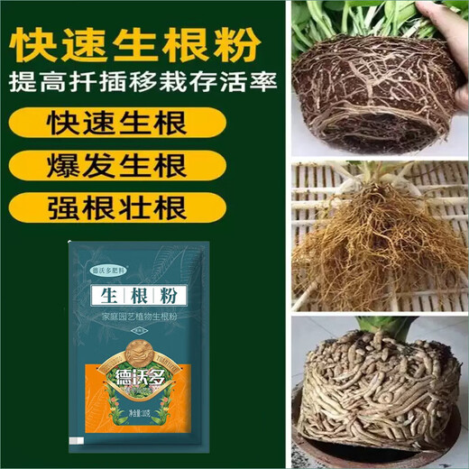 Rooting powder, universal plant rooting agent, fruit tree transplanting rooting agent, cutting nutrient solution, flower fertilizer, rapid rooting solution, buy 3 get 2 free, powerful rooting powder, universal type, 5 bags