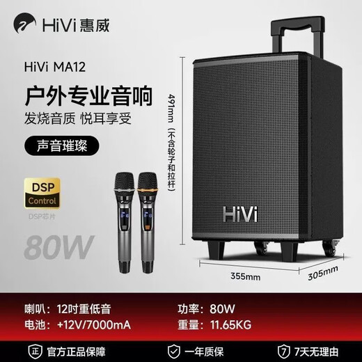 惠威（HiVi）户外广场舞K歌音响 12吋唱歌大功率拉杆移动音箱 麦克风功放一体机乐器演出低音炮双麦蓝牙 MA12