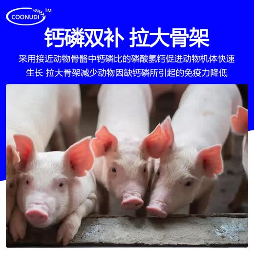 Zhengzhou Kangdi 8% premezcla para lechones, premezcla para cerdos medianos, alimento para cerdos de engorde, alimento para cerdos pequeños, medianos y grandes, alimento para jabalíes, 8% alimento para cerdos medianos (500 Jin Jin equivalen a 0,5 kg)