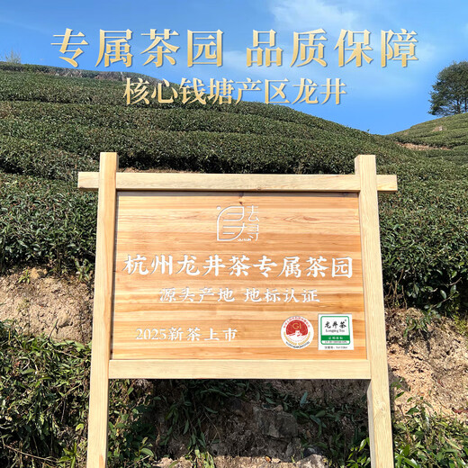 去寻绿茶杭州钱塘龙井250g2025新茶明前特级茶叶礼盒装父亲节送礼物品