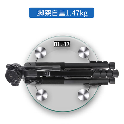 
Bainuo T880 SLR camera tripod photography portable mobile phone selfie video micro single Canon Nikon photo recording outdoor anchor desktop beauty fill light holder T691