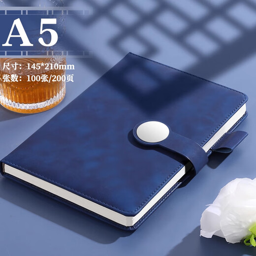 木雷笔记本礼盒套定制本子和笔U盘精致高级感刻字定做公司学校可印logo大学毕业纪念礼品记事本伴手礼 12034-A5蓝色【单本装】