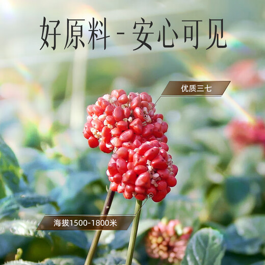 Yunnan Baiyao Wenshan gebrochener Wand Panax Notoginseng Pulver 3G*40 Beutel tragbare Verpackung Pharmazeutische Firma Qualität löst die Blutstase ab und stoppt Blutungen, reduziert Schwellungen und lindert Schmerzen, drei Hochs für Menschen mittleren Alters und ältere Menschen, kardiovaskuläres und zerraskuläres Pflegepulver