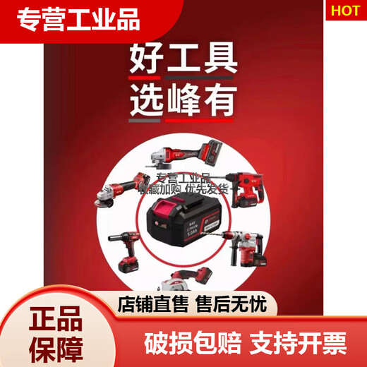 Feng tiene 21V cargador sin escobillas de litio de litio de alta potencia de alta potencia, el lote eléctrico de grado industrial Feng tiene T13916V66 nm dos electricidad y una carga