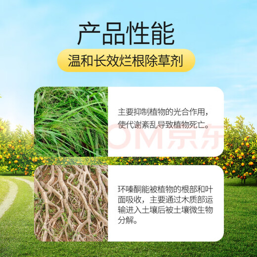 环嗪酮25％水剂环嗪酮除大树竹子灌木杂草高浓度杀大树烂根药 25%高浓度10瓶送注射器