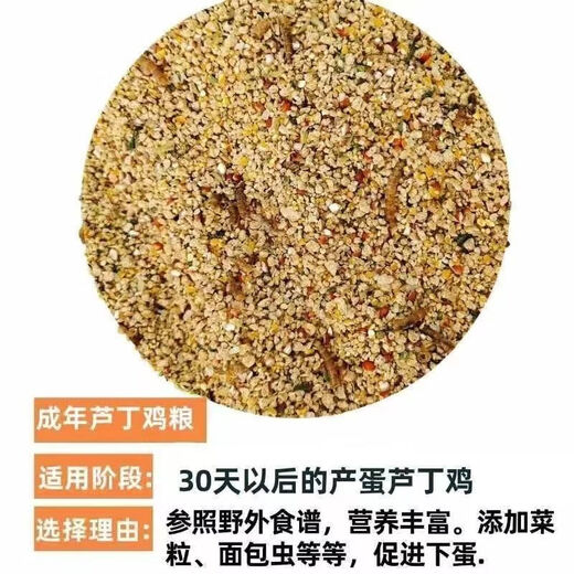 Special feed for rutin chicken, rutin chicken egg production feed, mealworm brooding feed, quail feed, high protein 3Jin Jin is equal to 0.5 kg, egg production food containing mealworms, dried vegetables