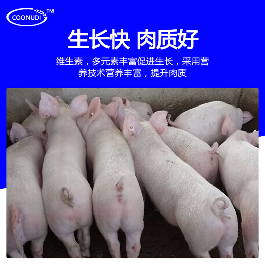 Zhengzhou Kangdi 8% premezcla para lechones, premezcla para cerdos medianos, alimento para cerdos de engorde, alimento para cerdos pequeños, medianos y grandes, alimento para jabalíes, 8% alimento para cerdos medianos (500 Jin Jin equivalen a 0,5 kg)