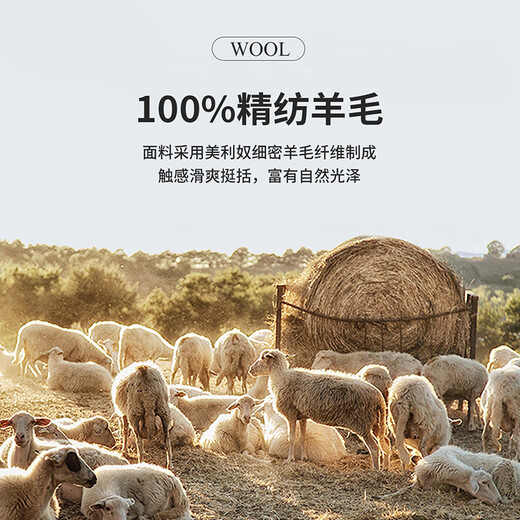 安东尼奥【100%高支精纺羊毛】细腻纯色翻领高端休闲外套男挺括商务夹克