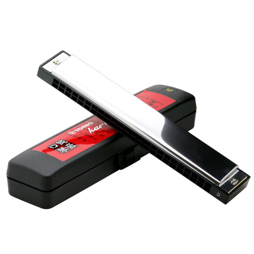 Tongbao 6624p armónica pura armónica para principiantes adultos armónica polifónica de 24 hoyos Cinebrimiento C-rendimiento Nivel de ajuste 12- +Tombo Card Piano Bag