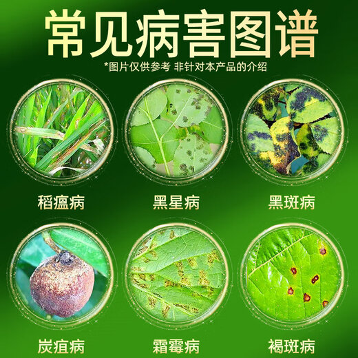 沪联植保巴托甲基硫菌灵500克/升甲托甲基硫水稻果树赤霉稻瘟病农药杀菌剂