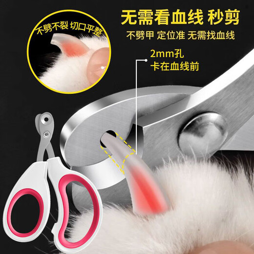 Nail clipping tool, anti-scratch nail novice outfit, bathing comb, cat cake needle comb, cat five-piece set, cat supplies collection, super cost-effective, pet novice 5-piece cleaning and protection outfit