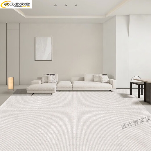 2025新款高档天津崔黄口地毯客厅2023防水卧室地垫家用沙发轻奢免 ZJ691【水晶绒】 240CM×400CM
