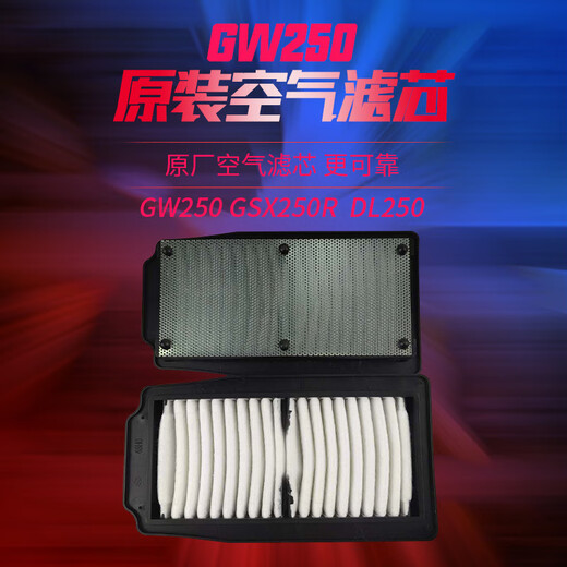 Tansilong Motorcycle GW250 DL250 TR300 DR300 GSX250R-A Filtro de aire Filtro de aire Filtro original [10 Filtros de aire] Original 13780-48H00 GW