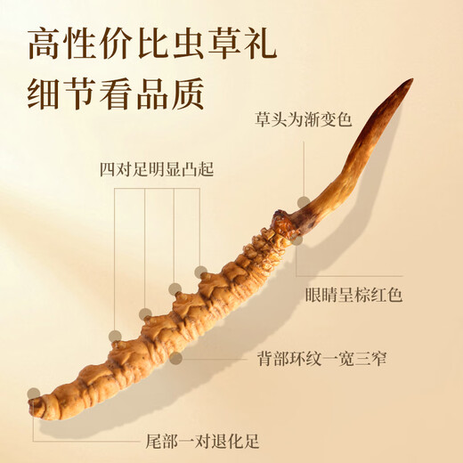 
Wancao Kangren Cordyceps sinensis dried Cordyceps Tibetan area Cordyceps gift box Cordyceps 50 gift boxes gift tonics gifts gifts for elders 3 sticks/gram 10 sticks (bottled) take a photo and get 1 stick