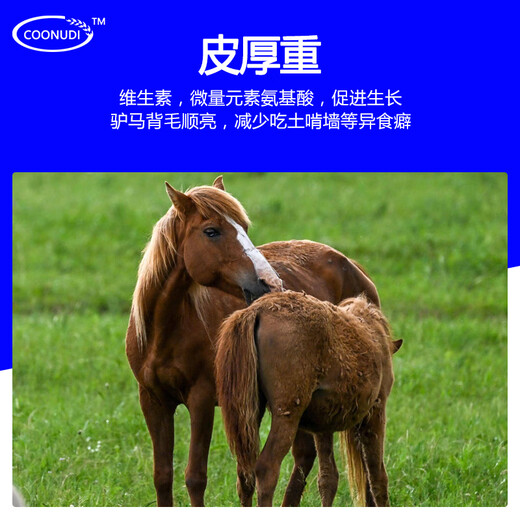 Kangdi 4% donkey premix donkey horse mule fattening feed breeding female donkey foal opening material to prevent hair loss and hair biting donkey and horse late stage (150 kg-slaughter)
