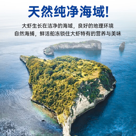 Linglue Qingdao Salted Frozen Prawns Net Weight 3Jin Jin is equal to 0.5kg 75-90 pieces Salted Frozen White Prawns Prawns Base Shrimp Fresh Shrimp