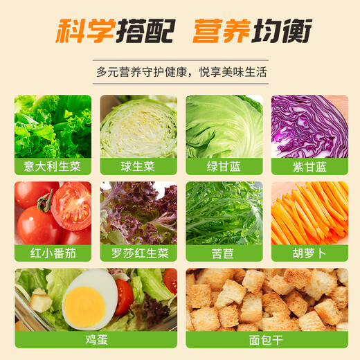 一号农场即食12种混合新鲜蔬菜沙拉碗轻食代餐0脂油醋汁色拉生菜 695g