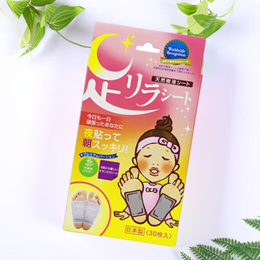 Tree Eishu's Megumi Nakamura Foot Beauty Natural Bamboo Sap Mugwort + Titanium Element Foot Patch Imported from Japan 30 patches/box*2