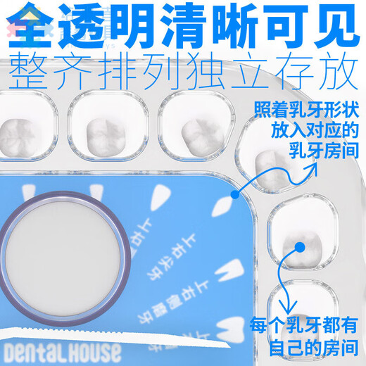 Dientes caducifolios Caja conmemorativa Anti-oxidación Caja de almacenamiento para niños Recolección de dientes de los dientes niños y niñas Reemplazo de dientes umbilicales Campo de cabello Blue Registro Card + Dientes caducifolios Caja de dientes