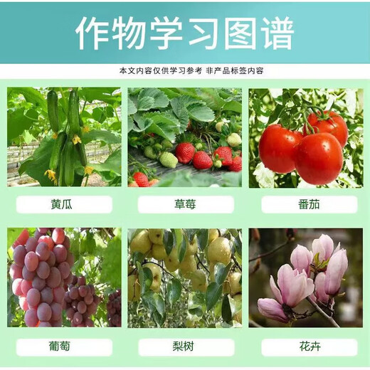 4 Gibberellic acid 500g