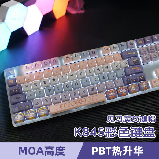 罗技（Logitech） K845有线游戏机械键盘104键DIY彩色键帽 电竞键盘吃鸡 背光金属面板 K845红轴-见习魔女
