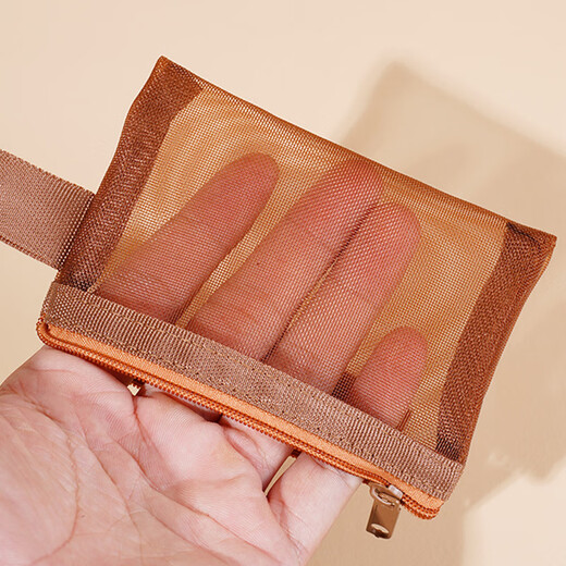 Tingzhi New Cosmetic Bag Mesh Storage Bag Portable Travel Toilet Bag Small Travel Coin Purse Lipstick Cosmetic Brush Blue + Brown - Main Picture Style (Pack of Two) 11.5 8cm