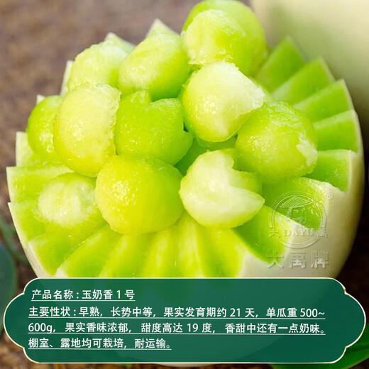 Dayu Jade Milk-flavored Melon Seeds Ding brand melon seeds super sweet thin-skinned milk-flavored melon Jade Milk-flavored Melon Seeds No. 1 20 capsules 3 bags