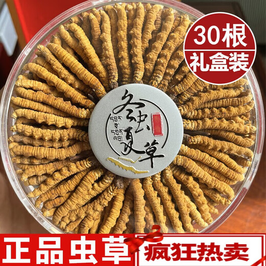 北京同仁堂藏区雪域冬虫夏草2根/克（规格）正宗虫草高海拔送礼佳品 2根/克(规格) 30根礼盒装
