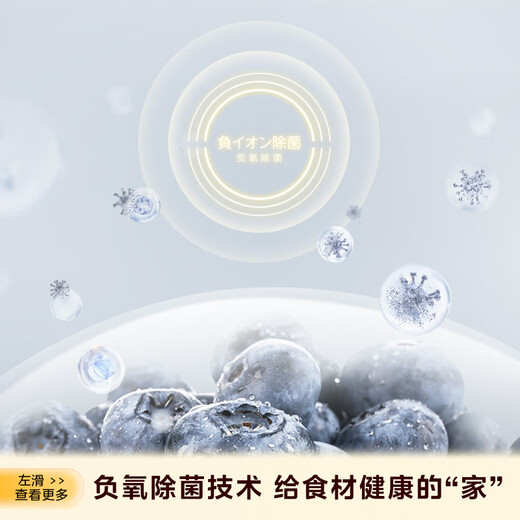 东芝（TOSHIBA）686超薄零距离高容全嵌式大容量四档宽幅变温一级能效家用无霜电冰箱【线下门店同款】 GR-RM686WI-PG1B3 富士白