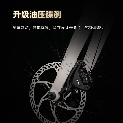 喜德盛（xds）xds ad300喜德盛ad300 25款山地车喜德盛公路车公路自行车喜德盛 2025款|黑/银 700Cx510mm|身高175-185cm