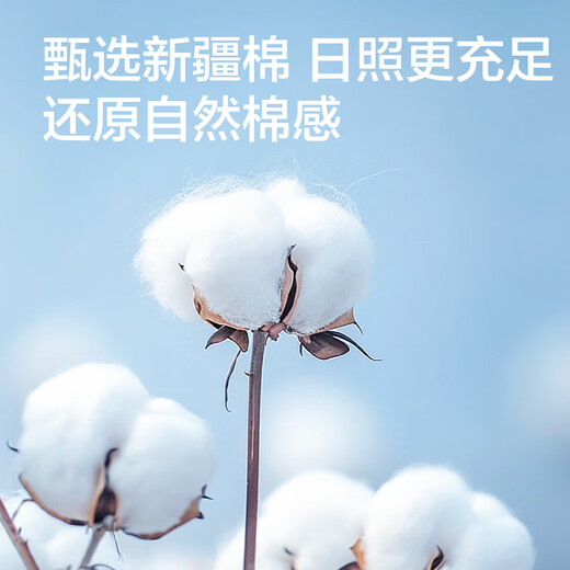 Made in Jingdong [10A antibacterial] Men's antibacterial short socks for men in summer Xinjiang cotton sweat-absorbing casual mid-tube socks breathable
