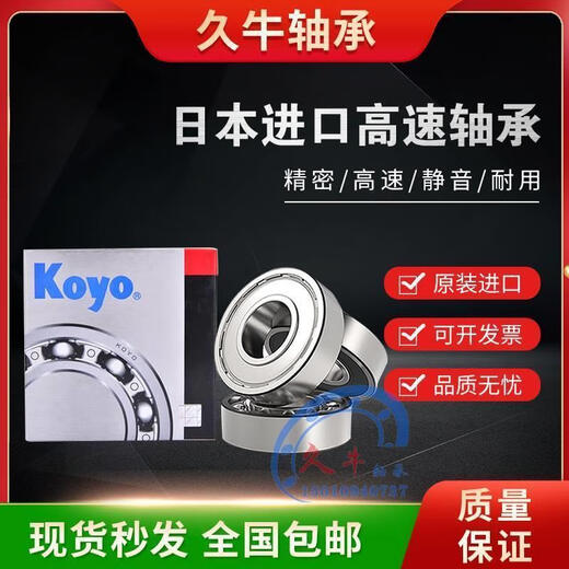 Importierte Koyo-Lager 6210 6211 6212 6213 6214zz/2RS/ZZCM/NR/2RSCM/C3 6210-2RS GUMME PEICHE