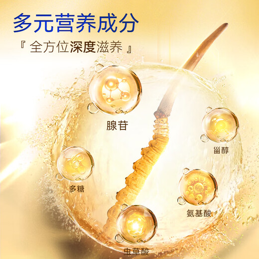 Dongyangguang Cordyceps sinensis 3-4 roots/g4 roots tonic gift box Cordyceps nutritional supplements for elders