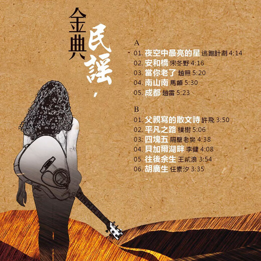 Vinyl record gramophone record vinyl record player disc 12 inch 33 rpm LP album retro record player vinyl classic ballad