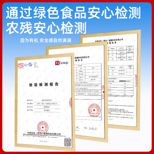 Qi Shuo [Lock Fresh Fruit Nutrition] Ningxia Red Wolfberry Red Wolfberry Free Zhongning Chew seco Listo para comer First First Stubble [Lock Fresh Technology] Zhongning Wolfberry (90g*1 lata)