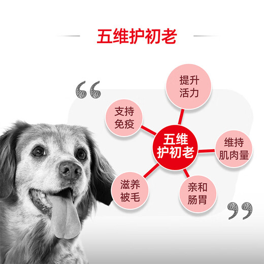 皇家狗粮  中老年中型犬成犬主粮全价粮  成犬通用狗粮 7岁以上 SMA25 护初老4KG