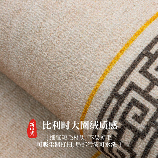 Golden Kürbis Eingangstürbodenmatte am Eingang des Eingangsstaubs und der Bodenmatte verdickter Teppich Baifu Juzhen-Brown-12164 200*300 cm Neues Upgrade [Anti-Schlupf-Verdoppelung] Baumwolle