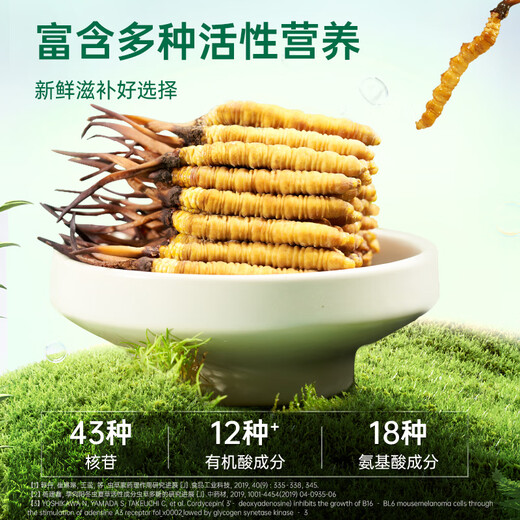 Purple and blue flowers sea [first 25 years] Fresh Cordyceps sinensis 0.6g/root 20 fresh Cordyceps sinensis straight from the source