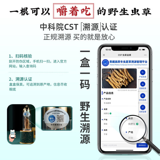国坤堂 西藏那曲精选野生冬虫夏草 高海拔新干草7根/克 虫草1克试用装