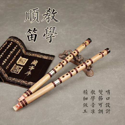 Qinyin Grund- und Mittelschüler Recorder ohne Film 6 Löcher FG Melodie Chinese Shundi Sechs Löcher Kinderleistung Anfänger Ethnisches Musikinstrument Chinesisch Shundi G Ganz (Plastikmund)